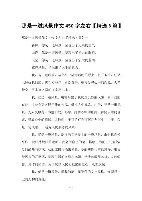 那是一道风景作文450字左右【精选3篇】