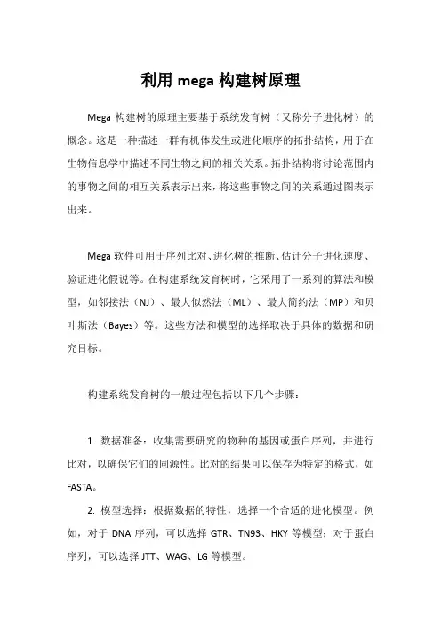 利用mega构建树原理