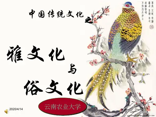 中国传统文化(雅俗文化)