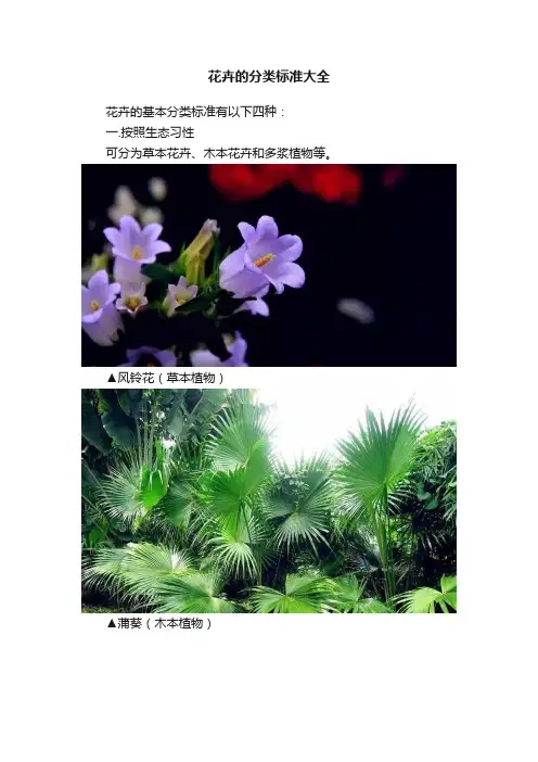 花卉的分类标准大全