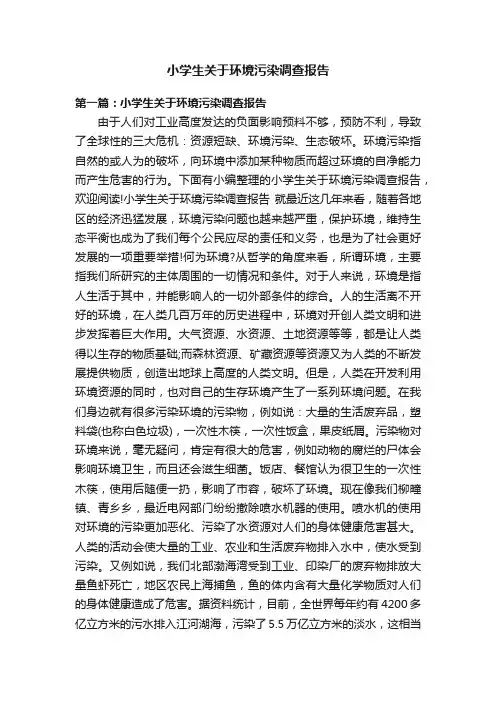 小学生关于环境污染调查报告