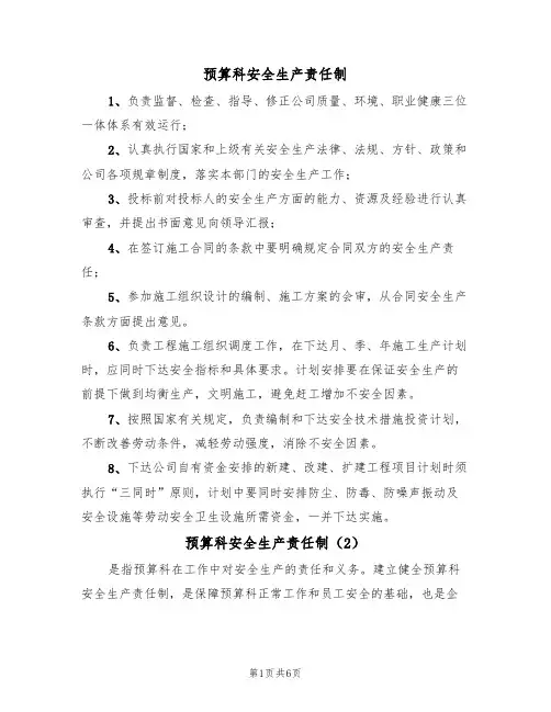 预算科安全生产责任制（5篇）