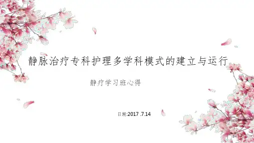 静脉治疗专科护理多学科模式的建立与运行PPT精选文档