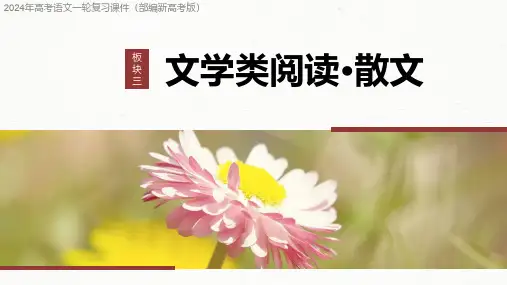 2024年高考语文一轮复习课件(部编新高考版)小说阅读 课时18 分析主旨意蕴——立足文本,思考深广