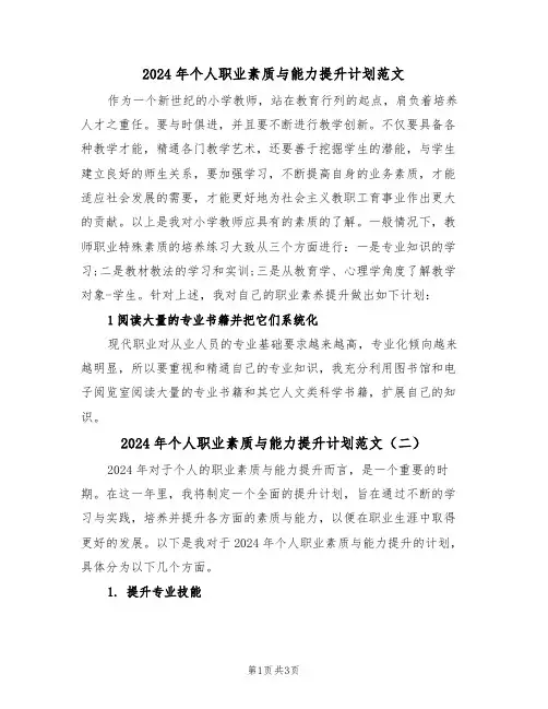 2024年个人职业素质与能力提升计划范文（二篇）