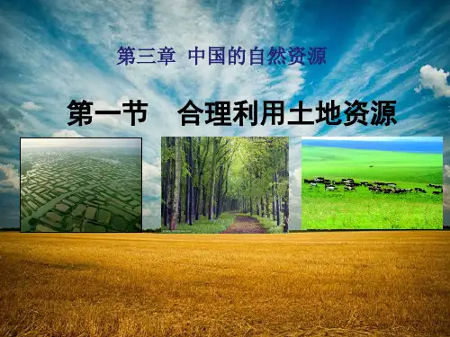 31合理利用土地资源(课件)-八年级上册(商务星球版)