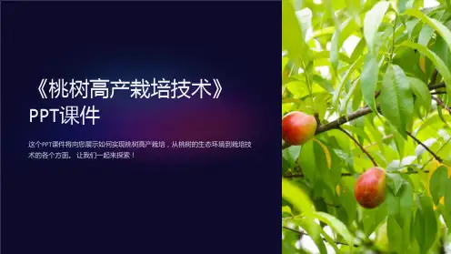 《桃树高产栽培技术》课件