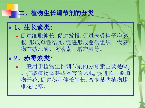  植物生长调节剂(共28张PPT)