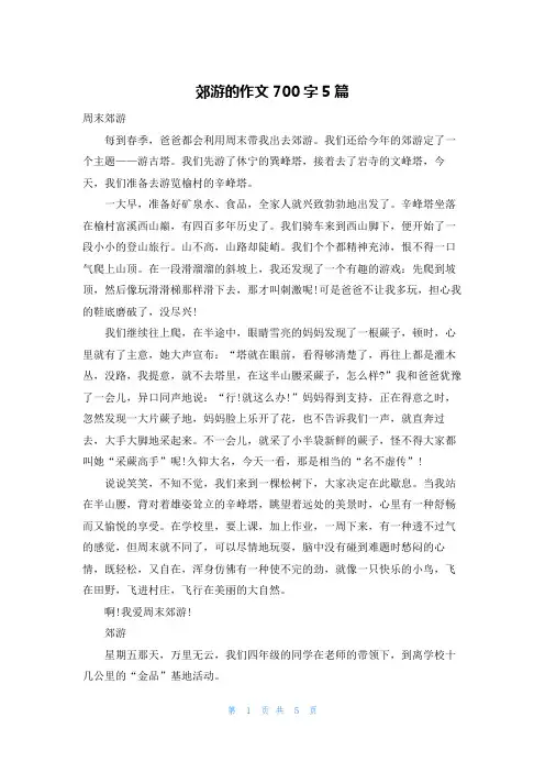 郊游的作文700字5篇