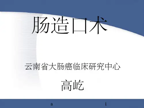 《肠造口术》PPT课件