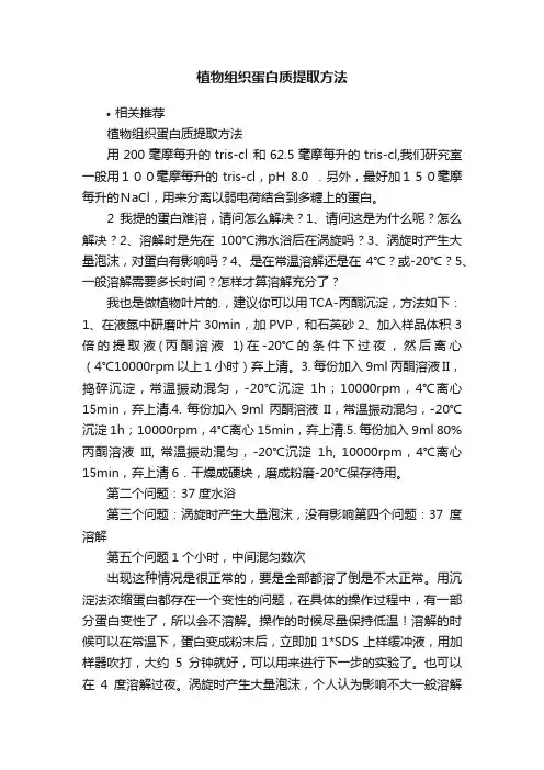 植物组织蛋白质提取方法