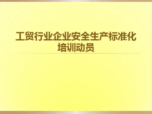 全市工贸行业企业安全生产标准化培训教材1
