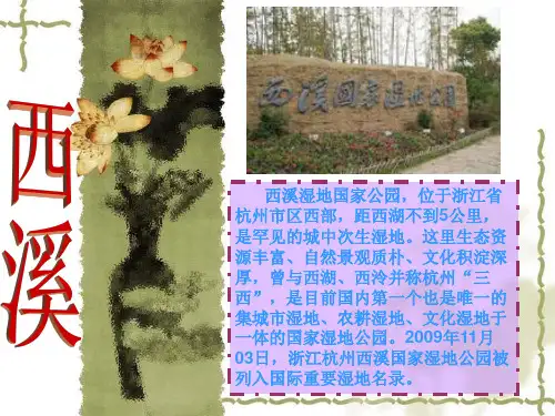 西溪湿地
