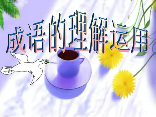 《中考语文复习成语的理解与运用》PPT课件