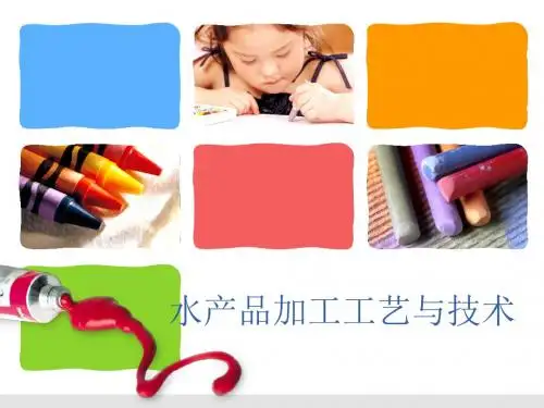 ppt加工抽出型天然海鲜调味料
