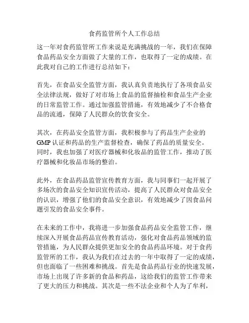食药监管所个人工作总结