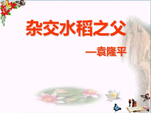 《杂交水稻之父--袁隆平》PPT优秀课件