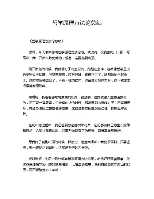 哲学原理方法论总结