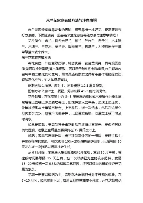 米兰花家庭养殖方法与注意事项