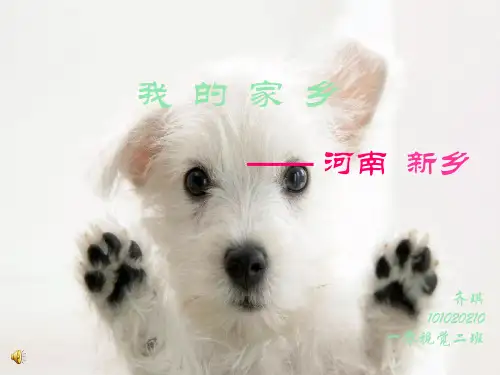 我的家乡 新乡