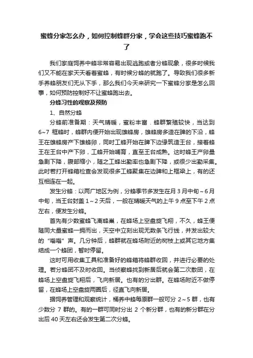 蜜蜂分家怎么办，如何控制蜂群分家，学会这些技巧蜜蜂跑不了
