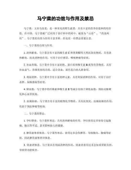 马宁菜的功效与作用及禁忌