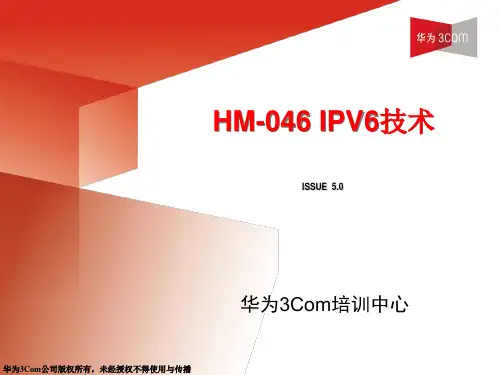 华为IPv6技术(V5