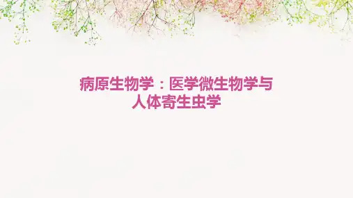 病原生物学包括医学微生物学和人体寄生虫学