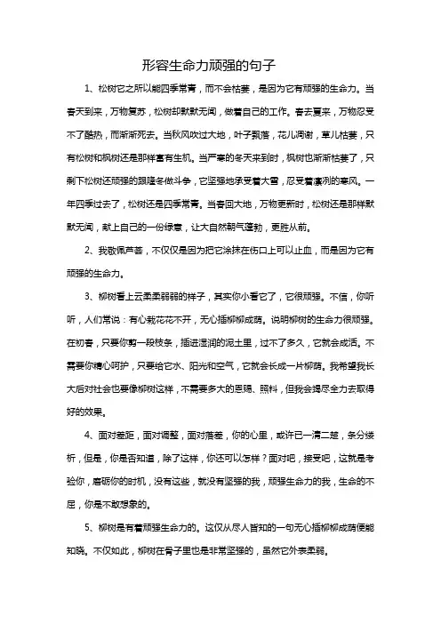 形容生命力顽强的句子