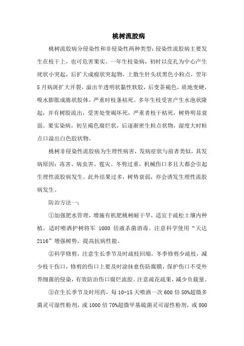 桃树流胶病
