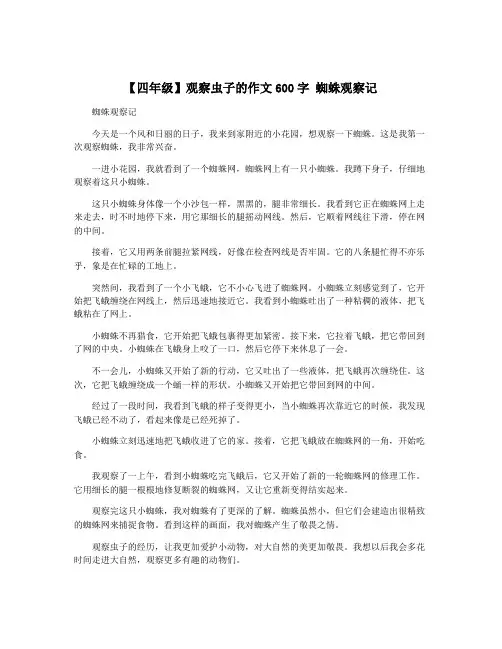 【四年级】观察虫子的作文600字 蜘蛛观察记