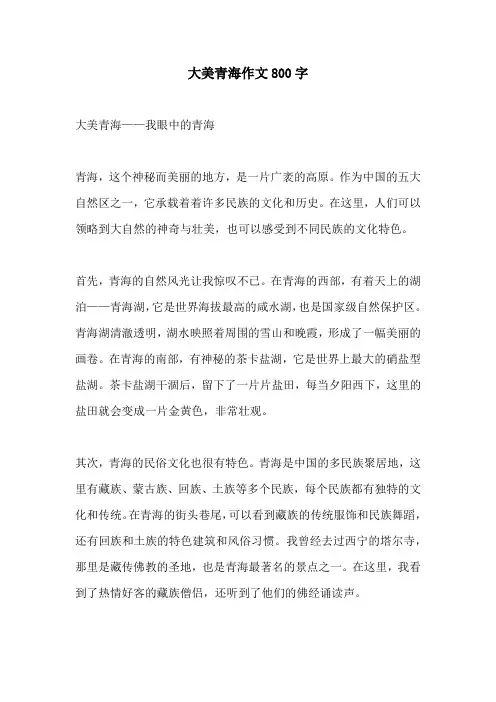 大美青海作文800字