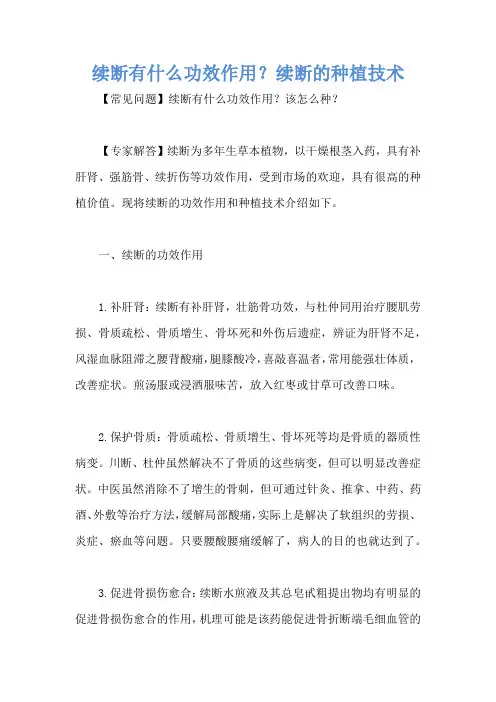 续断有什么功效作用？续断的种植技术