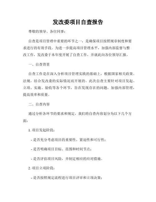 发改委项目自查报告