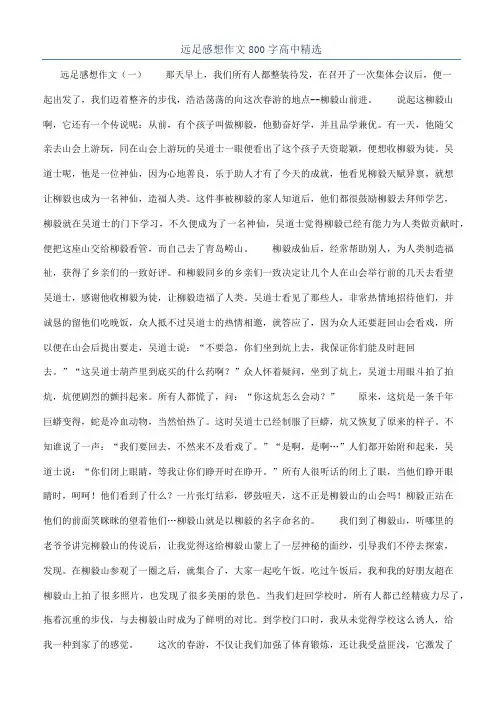 远足感想作文800字高中精选
