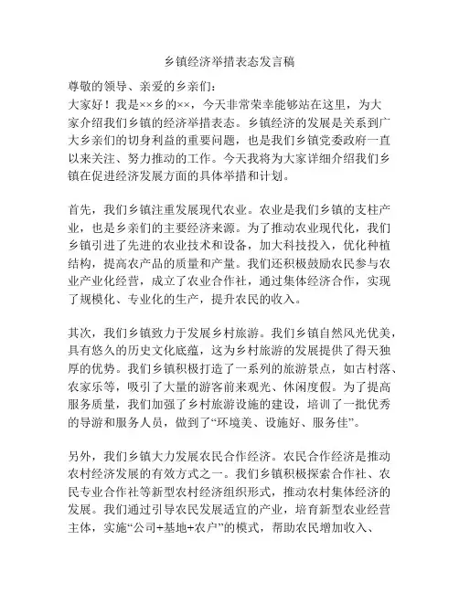 乡镇经济举措表态发言稿