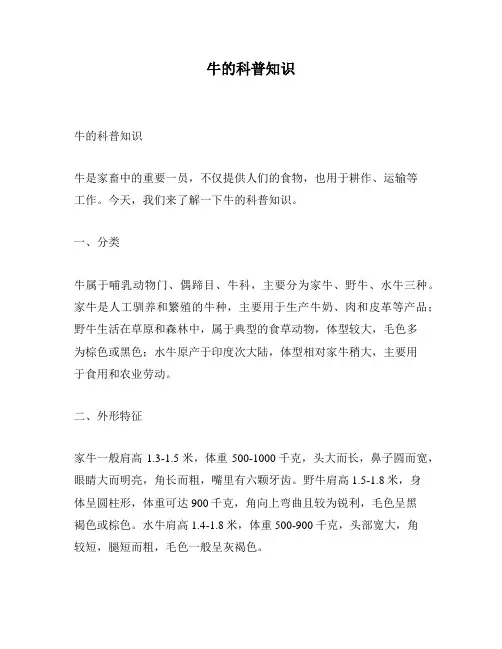 牛的科普知识