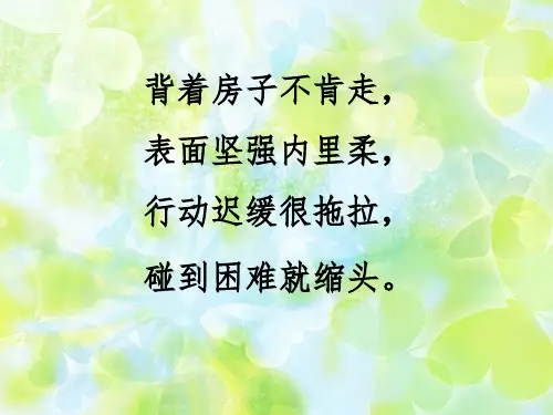 小学二年级美术《会变的线条》ppt课件