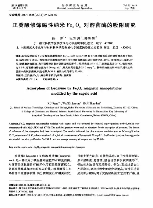 正癸酸修饰磁性纳米Fe_3O_4对溶菌酶的吸附研究