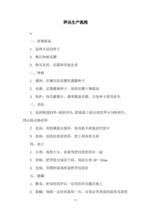 笋尖生产流程