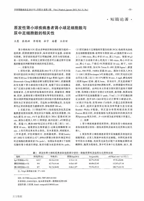 原发性肾小球疾病患者肾小球足细胞数与