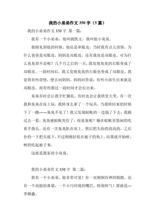 新整理我的小弟弟作文350字(5篇)