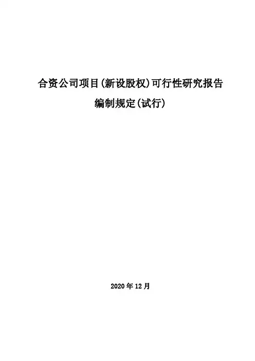 中石化中石油合资公司项目(新设股权)可研报告编制规定