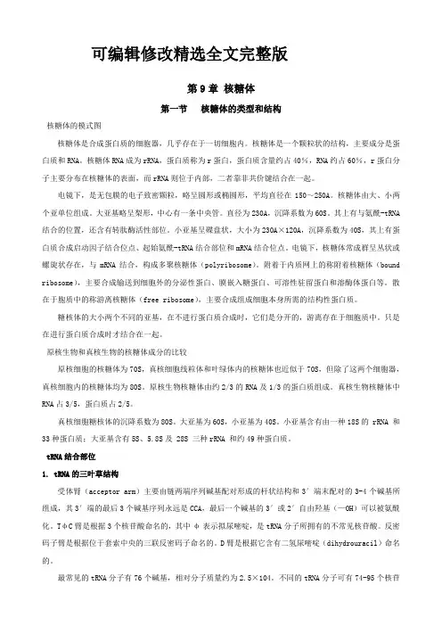 第9章-核糖体精选全文完整版