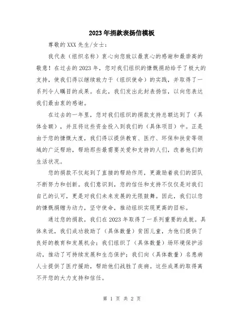 2023年捐款表扬信模板
