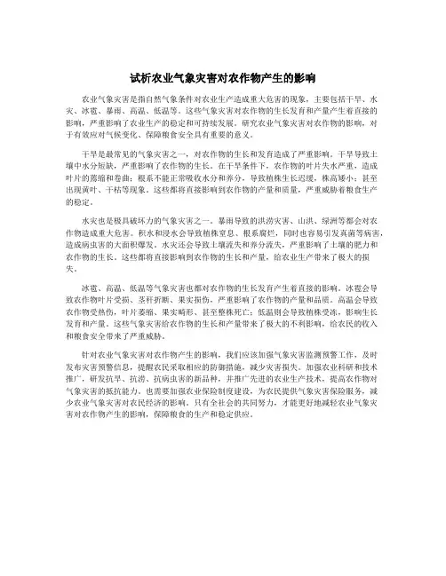 试析农业气象灾害对农作物产生的影响