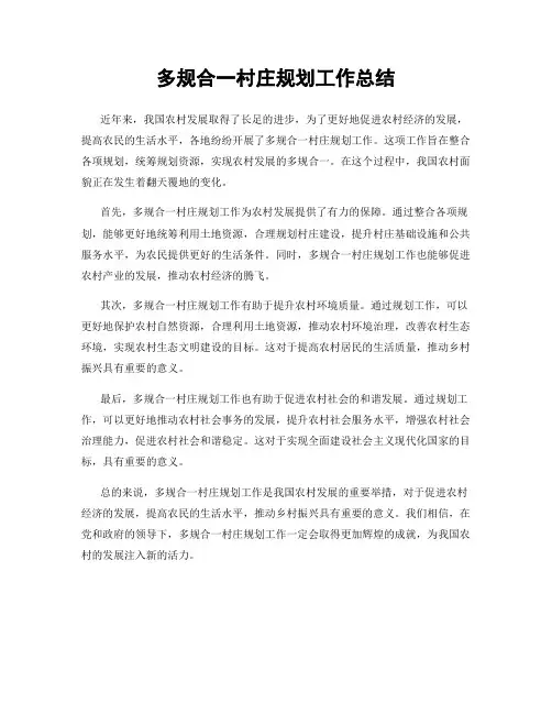 多规合一村庄规划工作总结