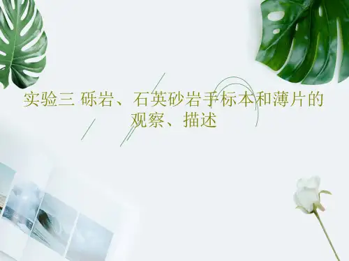 实验三 砾岩、石英砂岩手标本和薄片的观察、描述共18页