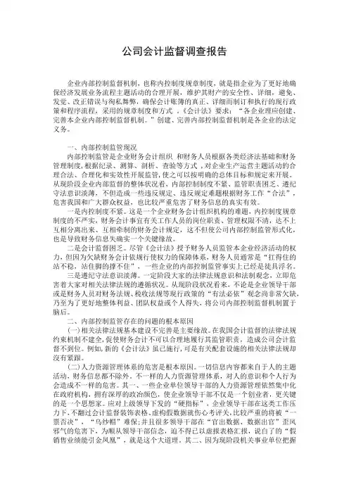 公司会计监督调查报告