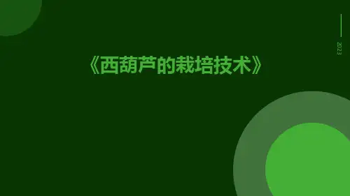 西葫芦的栽培技术
